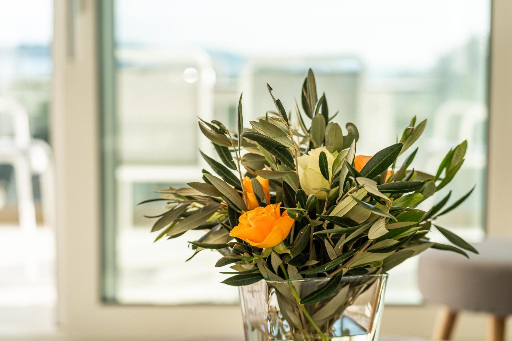 O'Life Boutique Apartments Водице Экстерьер фото
